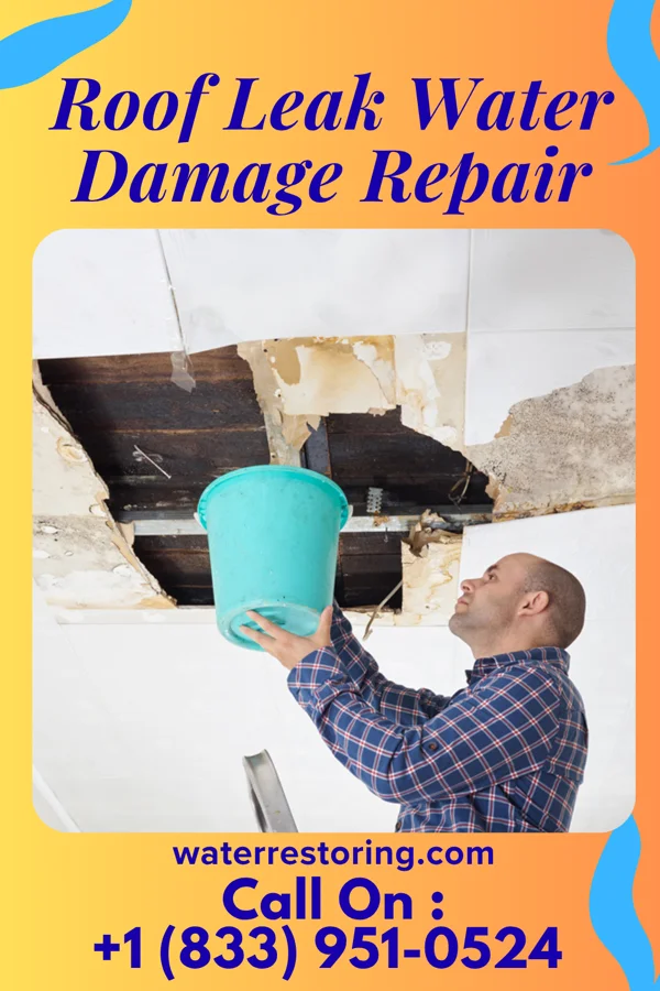 Roof Leak Water Damage Repair in Colchester, IL