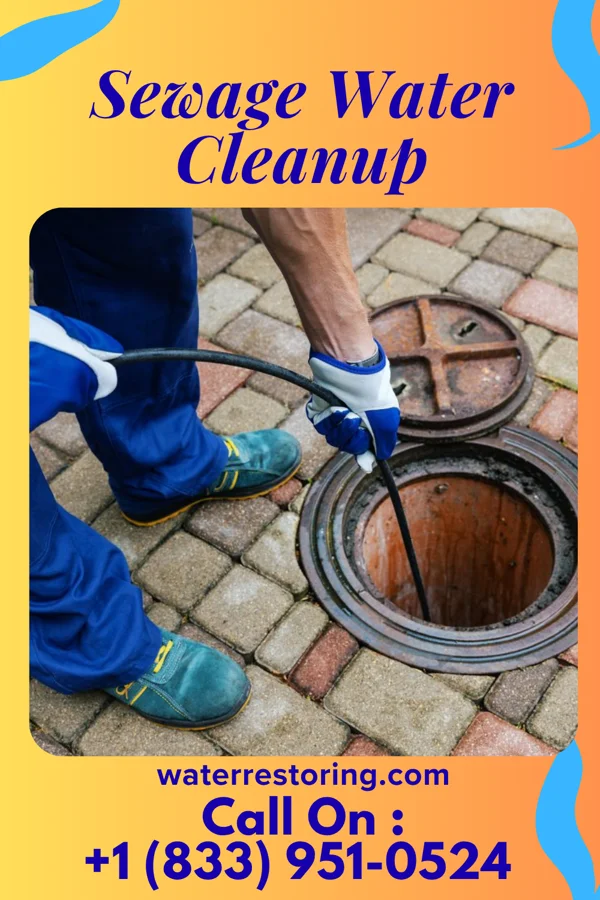 Sewage Water Cleanup in Colchester, IL